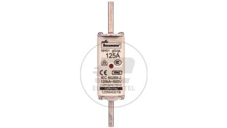 Wkładka bezpiecznikowa NH1 125A gL/gG 500V 125NHG01B