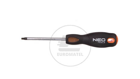 Wkretak Torx T25 x 100 mm SvCm 04-046