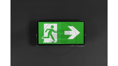 Oprawa ewakuacyjna/awaryjna VELLA LED SO 150 SA 3H AT IP65 BLK / INLEWA 93622
