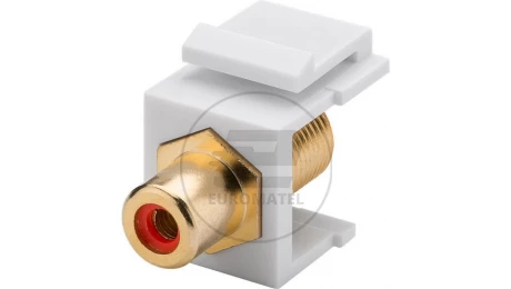 Keystone moduł Cinch/RCA - gniazdo Cinch czerwone &gt; gniazdo F 79702