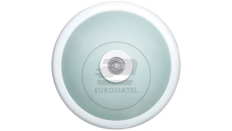 Plafoniera TERRAL z czujnikiem ruchu 360 stopni 2x40W E27 IP20 szkło matowe OR-PL-302WE27SMR