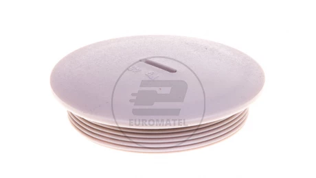 Zaślepka poliamidowa PG48 SKINDICHT BLK-GL 48 jasnoszara 52024857