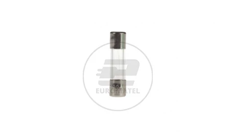 Wkładka aparatowa 5x20mm 100mA F /szybka/ 250V 006710009 /10szt./