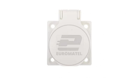 Gniazdo tablicowe 10/16A 2P+Z 230V białe IP54 1050-0ws