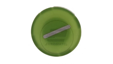 Wkładka przycisku 22mm płaska zielona z symbolem START I M22-XD-G-X1 218165