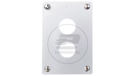 Płyta czołowa do montażu podtynkowego 2-otwory 22mm M22-E2 216543
