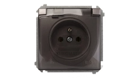 Simon Basic Gniazdo bryzgoszczelne z/u IP44 z klapką dymną stal inox BMGZ1B.01/21a
