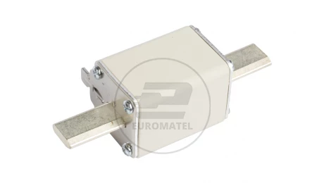 Wkładka bezpiecznikowa NH1 160A gF 500V WT-1 004139119