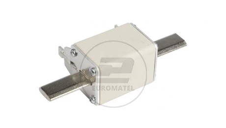 Wkładka bezpiecznikowa NH2C 40A gG 500V WT-2C 004114223