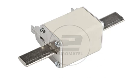 Wkładka bezpiecznikowa NH2C 50A gG 500V WT-2C 004114225