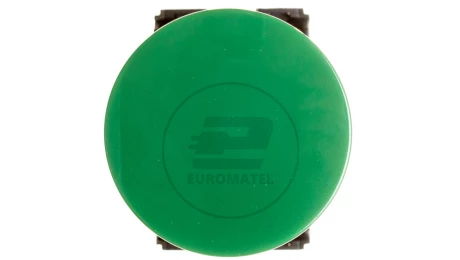Przycisk sterowniczy 30mm zielony z samopowrotem 1Z 1R W0-NEF30-D XY Z