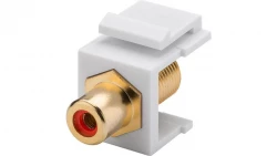 Keystone moduł Cinch/RCA - gniazdo Cinch czerwone &gt; gniazdo F 79702