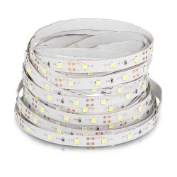 Taśma LED SMD3528 3,6W/M 60LED/M 6000K IP20 5M 2005